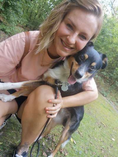 Hundetreffen-Spazieren gehen im Bräuckerwald-Bild