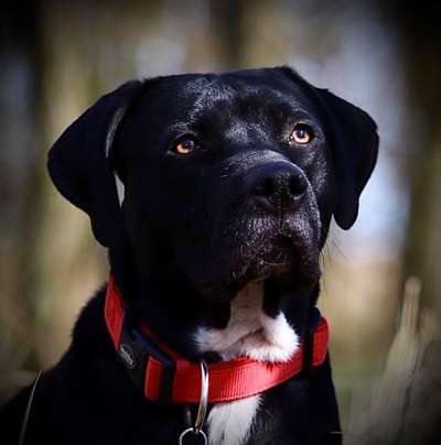 Fotochallange Nr. 57     PORTRÄT.   Beendet!!!!!!!!-Beitrag-Bild