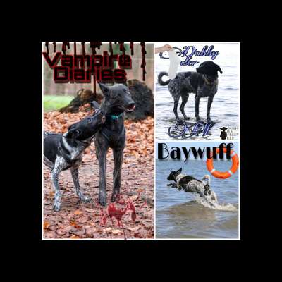 Moviestar-Pics!-Beitrag-Bild