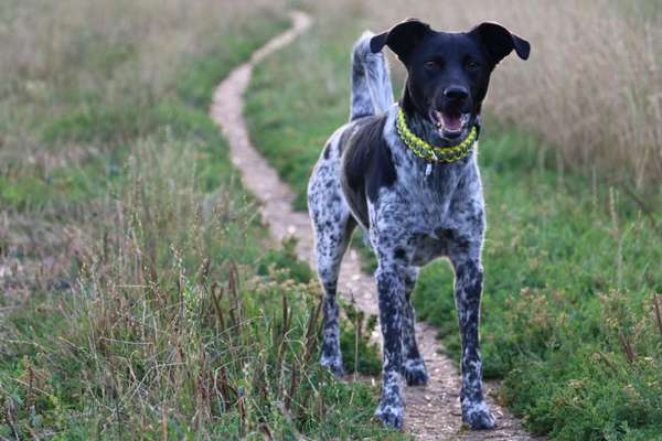 Lieblingsbild-Beitrag-Bild