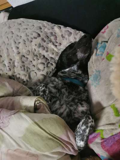 FUN AUFGABEN TOUR-Beitrag-Bild