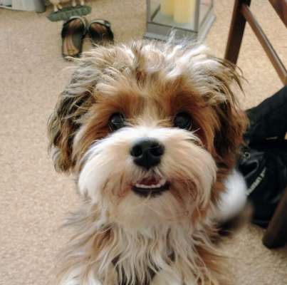 Fotochallange Nr. 57     PORTRÄT.   Beendet!!!!!!!!-Beitrag-Bild