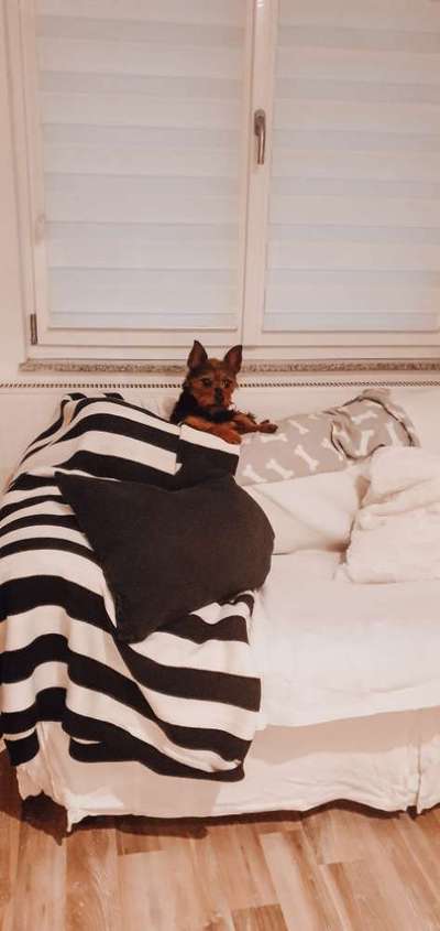 Challenge Nr 14
Eure Fellnasen auf ihrem Lieblingsplatz-Beitrag-Bild