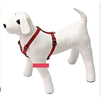 Seltsames Geschirr-Beitrag-Bild