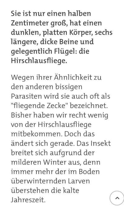 Kleine dunkle Viecher am Ohrrand-Beitrag-Bild