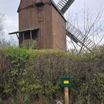 aktuelles Foto Gruppe Wandern und Outdoor