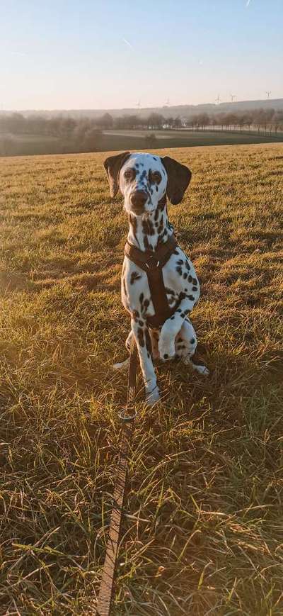 Farben Fotochallenge Sonnenlicht-Beitrag-Bild