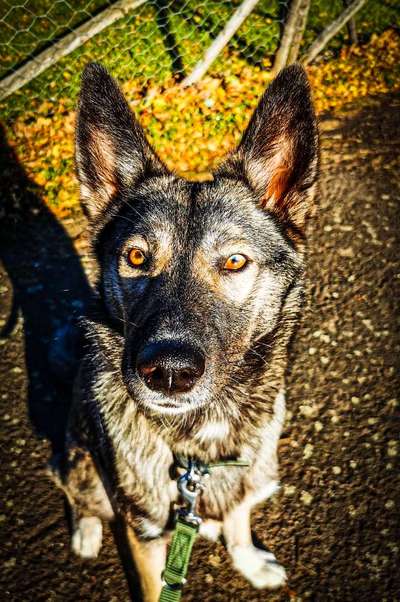 Handy-Foto Challange Nr. 10-Beitrag-Bild