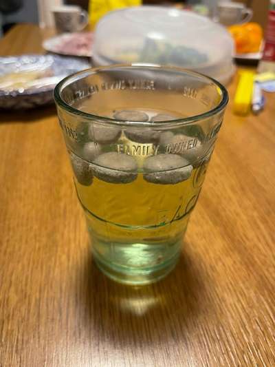 Trockenfutter Test im Wasserglas-Beitrag-Bild