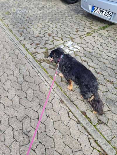 Der Gewichts-Thread-Beitrag-Bild