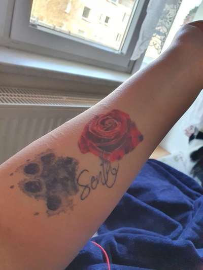 Erinnerungs Tattoos-Beitrag-Bild