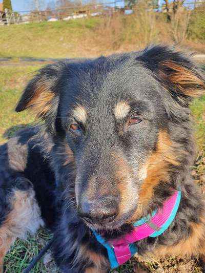 Die graue Eminenz-Beitrag-Bild