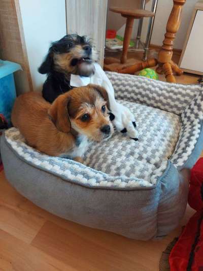 Erstes Bild-Beitrag-Bild