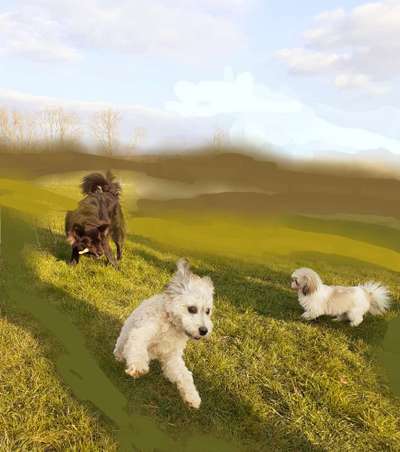 Foto Challenge Nr.: 115-Beitrag-Bild