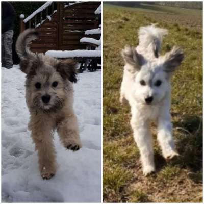 28. Handy-Fotochallenge - Damals und heute-Beitrag-Bild