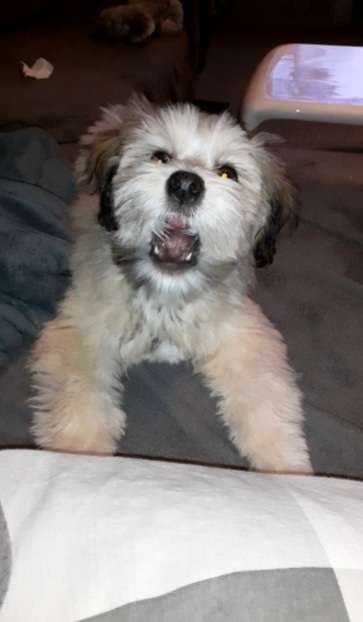 26. Handy Foto Challenge-Beitrag-Bild