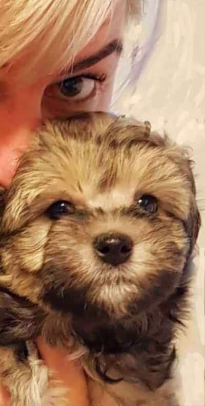 Lieblingsbild-Beitrag-Bild