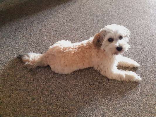 Doppelgänger gesucht !-Beitrag-Bild