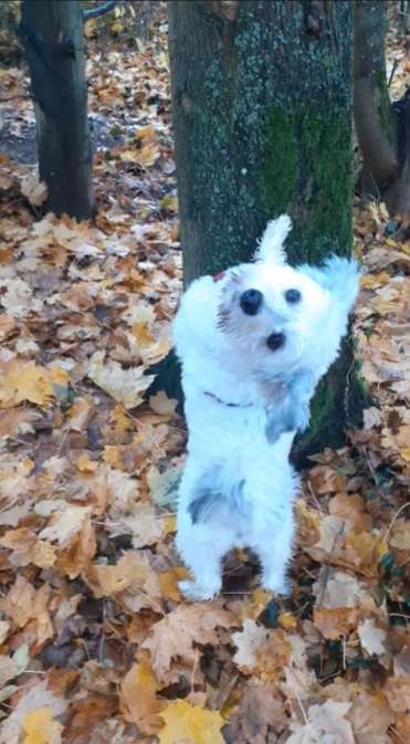 27. Handy Fotochallenge-Beitrag-Bild