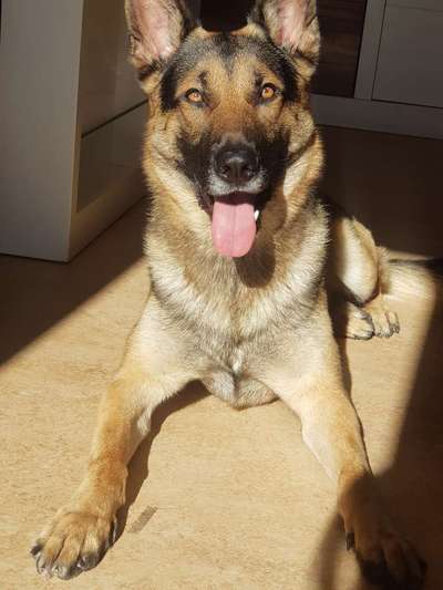 Fotochallenge Nr. 56 - geliebte Senioren-Beitrag-Bild