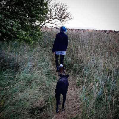 Die Dogorama Kalender Challenge Teil 1/4-Beitrag-Bild