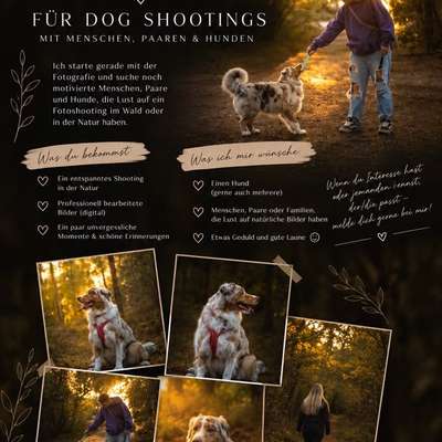 Hundetreffen-Dog Shootings-Bild