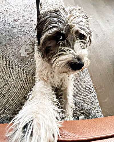 Handy-Foto Challange Nr. 10-Beitrag-Bild