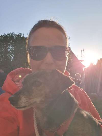 Wie kamst du zu deinem Hund?-Beitrag-Bild