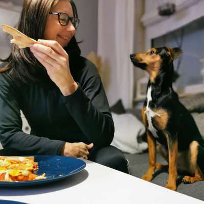 Euer schönstes Bild mit eurem Hund gemeinsam!-Beitrag-Bild