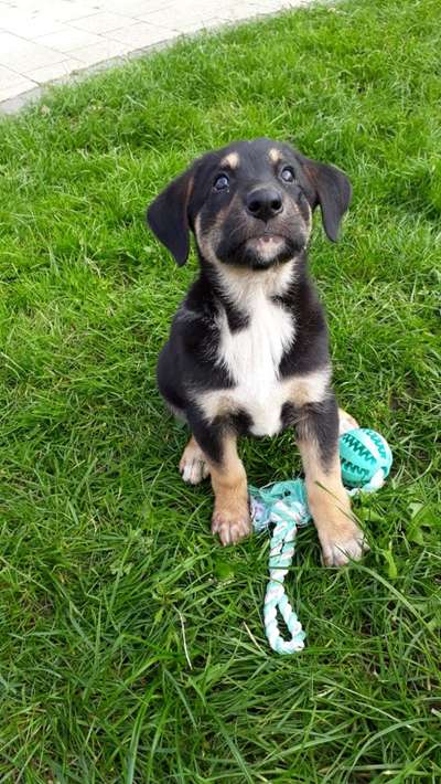 Erstes Bild-Beitrag-Bild