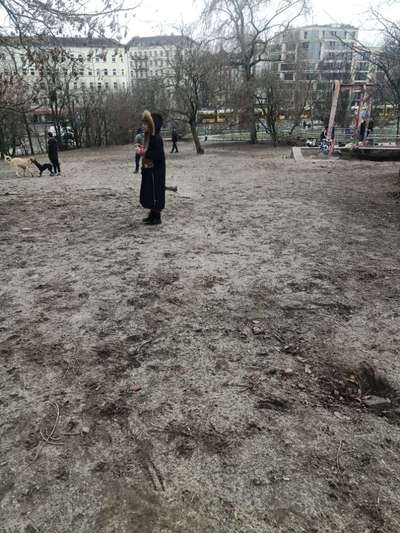 Hundeauslaufgebiet-Mauerpark-Bild