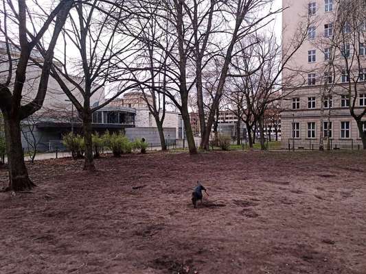 Hundeauslaufgebiet-Fritz-Schiff-Weg/Weidenweg 
Am ehemaligen Kino Kosmos-Bild