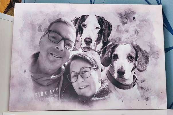 Was hat euch heute gefreut?-Beitrag-Bild