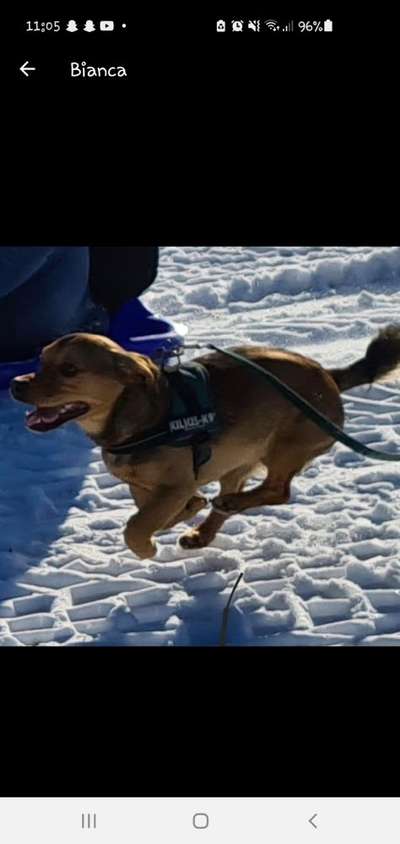 Verspielt-Beitrag-Bild