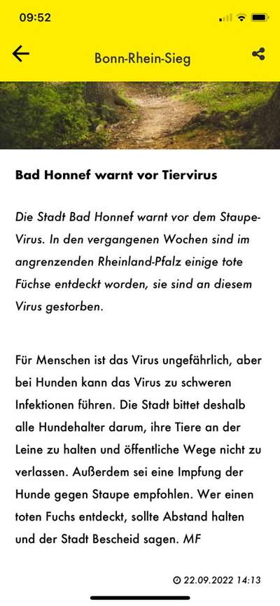 Alles rund um den Schäferhund, diskutieren erwünscht.-Beitrag-Bild