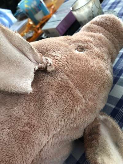 Spielzeug welches lange hält?-Beitrag-Bild