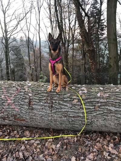 27. Handy Fotochallenge-Beitrag-Bild