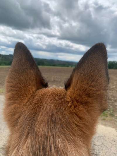 55. Handy Foto Challenge - von hinten, Blick in die Ferne-Beitrag-Bild