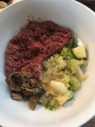 Zeigt her Eure Futternäpfe-Beitrag-Bild