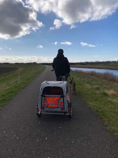 Anhänger für E-Bike-Beitrag-Bild