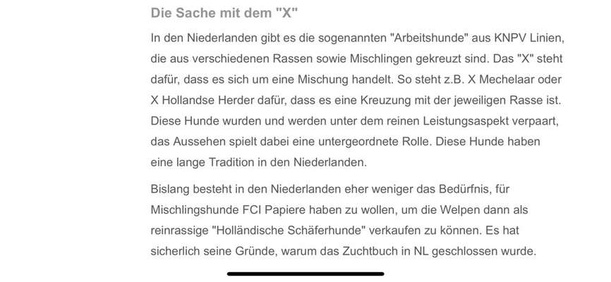 Hilfe der Schuh brennt-Beitrag-Bild