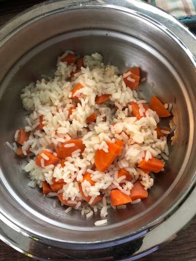 Zeigt her Eure Futternäpfe-Beitrag-Bild