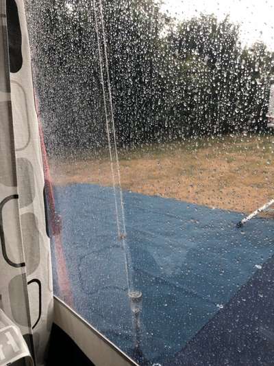 Alles rund um den Schäferhund, diskutieren erwünscht.-Beitrag-Bild