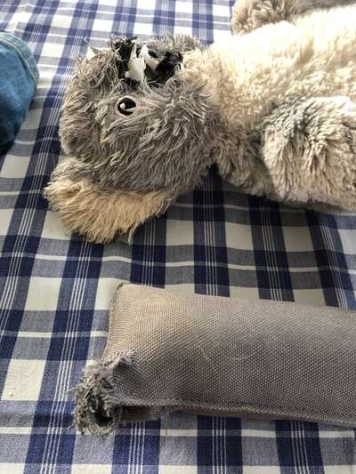 Spielzeug welches lange hält?-Beitrag-Bild