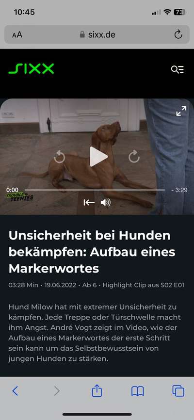 Auf einmal bekomme ich Angst-Beitrag-Bild