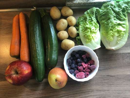 Zeigt her Eure Futternäpfe-Beitrag-Bild