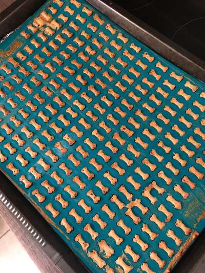 Zeigt her Eure Futternäpfe-Beitrag-Bild