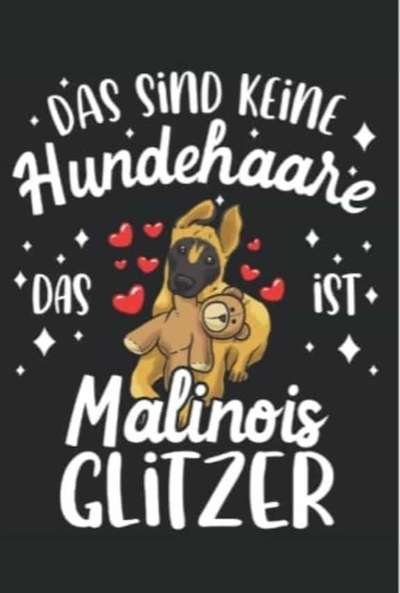 Alles rund um den Schäferhund, diskutieren erwünscht.-Beitrag-Bild