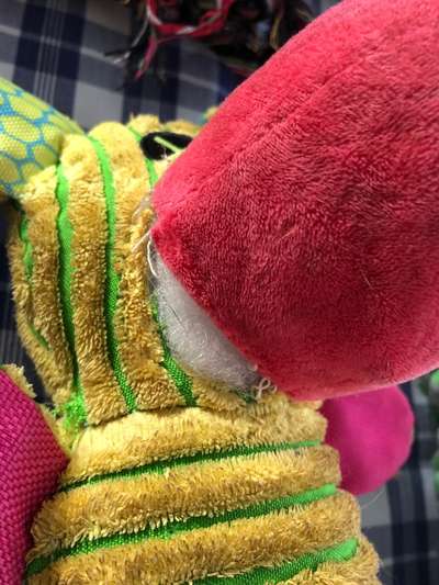 Spielzeug welches lange hält?-Beitrag-Bild