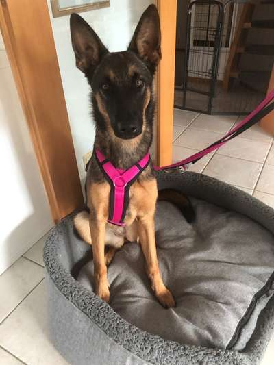 Zeigt eure Portraits-Beitrag-Bild